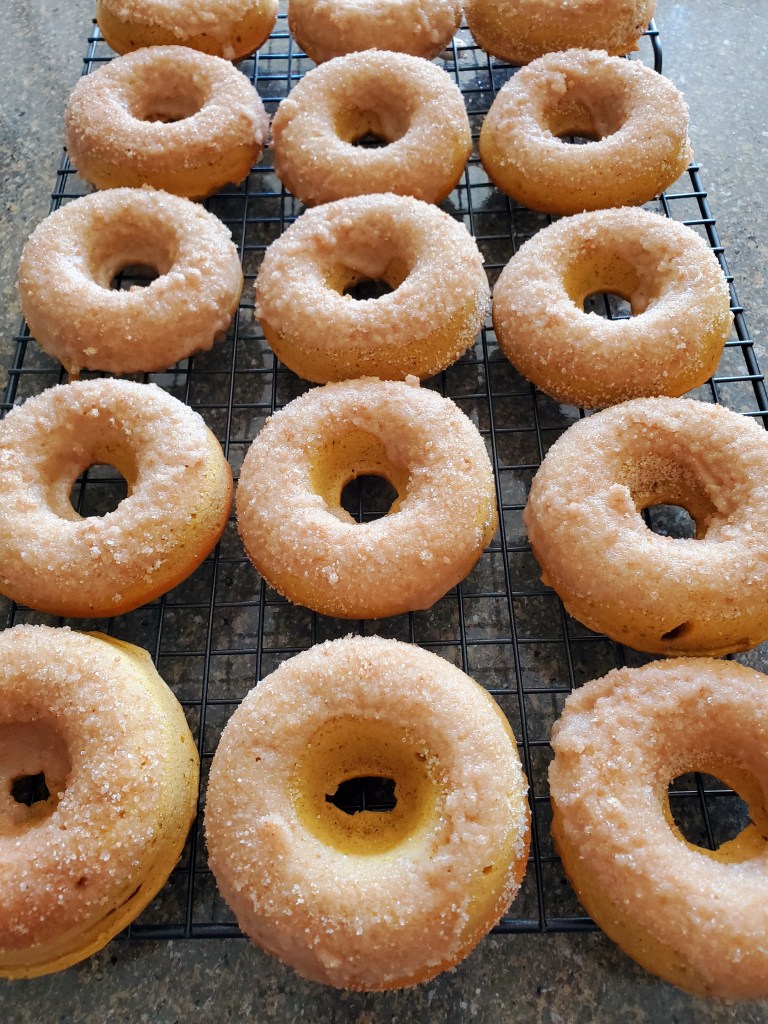 dozen sugared pimpkin doughnuts