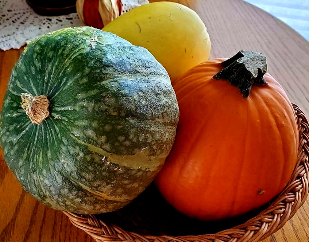 Winter squash and a pumpkin