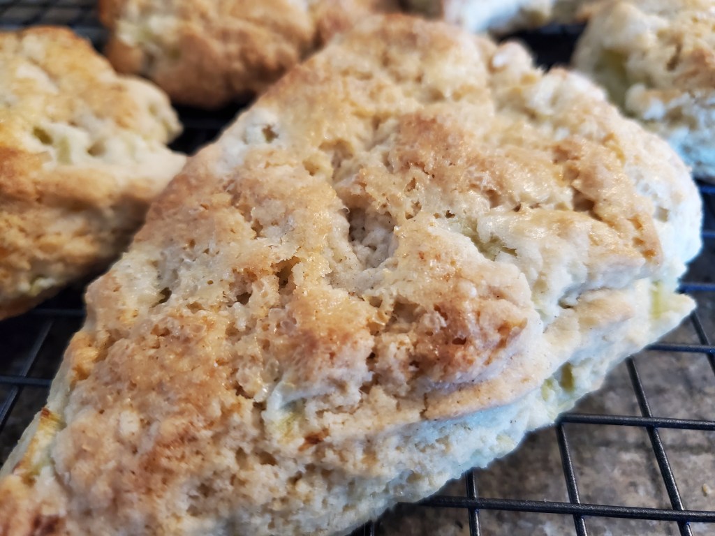 rhubarb scones